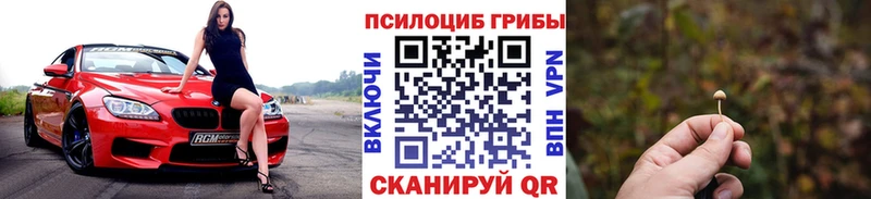 Псилоцибиновые грибы мицелий  продажа наркотиков  Анива 